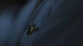 Air Crash Investigation S20E10 1080p HEVC x265-MeGusta